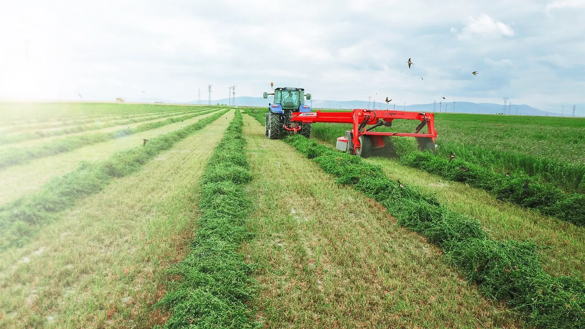 Harvesting Group